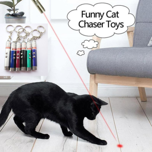 Mini Ultra Bright Laser Pointer Pen – Black, Silver, Purple, Green & Red Beam, Rechargeable & Adjustable