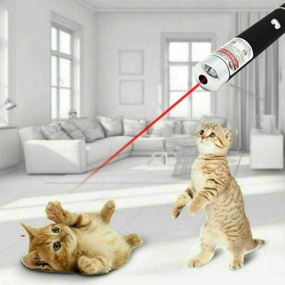 Ultra Bright Laser Pointer Pen – Purple, Green & Red Beam, Adjustable